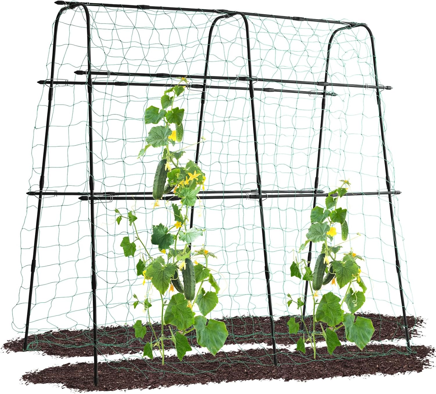 Lalahoni Cucumber Trellis for Climbing Plants and Vegetables