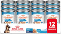 Royal Canin Large Puppy Wet Food for Healthy Growth and Development