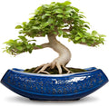 Bonsai Pots 18 in Ceramic Succulent Planter - Blue Reactive Glaze