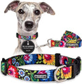 Easy Click Buckle Dog Collar and Leash Set - Secure, Durable Fit