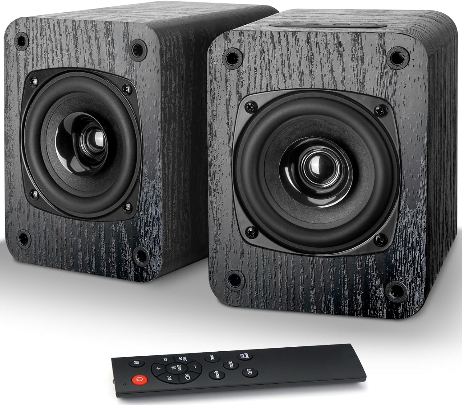 RIOWOIS 30W Powered Bluetooth Speakers