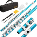 LeSage Closed Hole C Flute 16 Key Blue Flute for Beginner Students