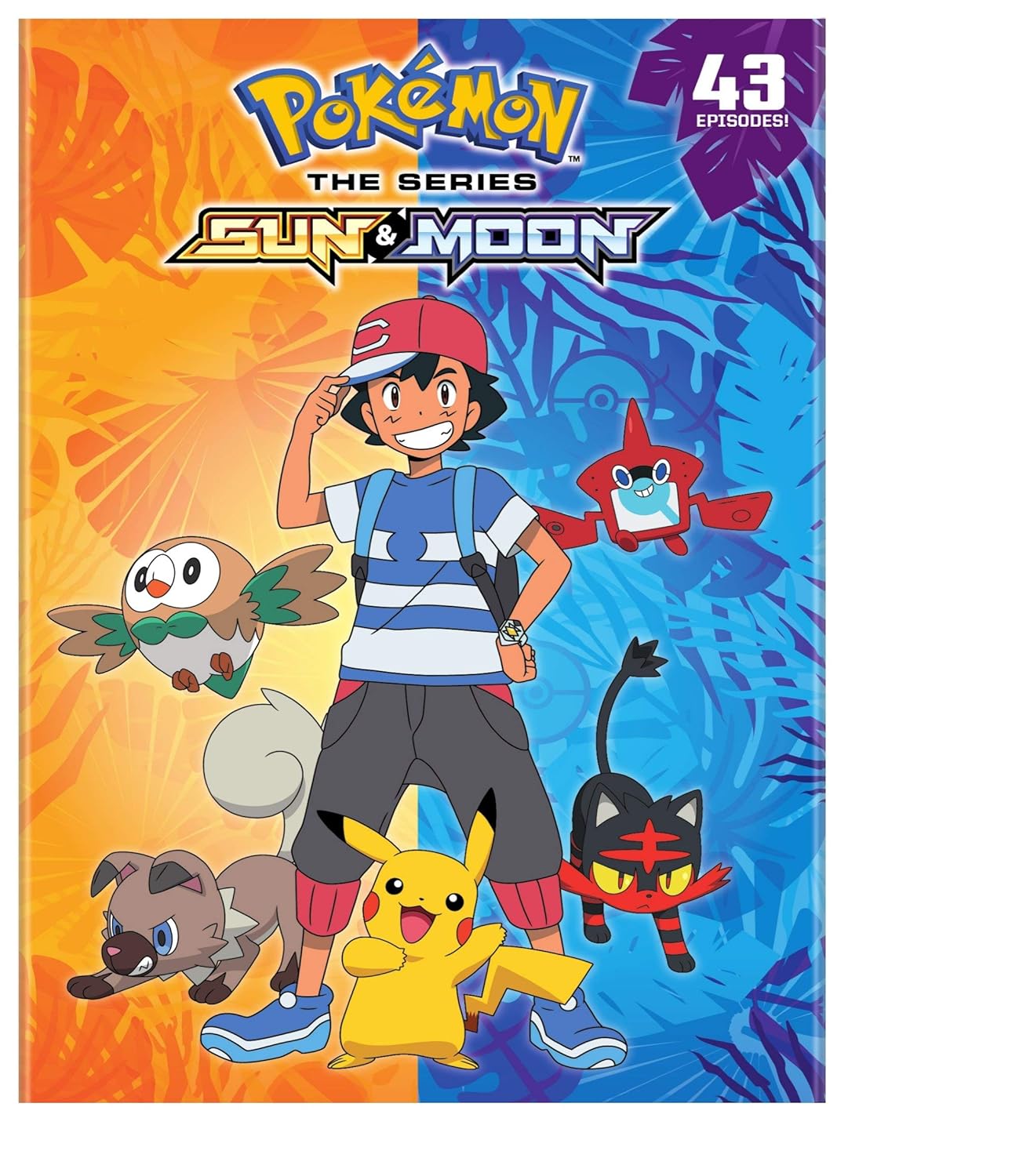 Pokemon The Series: Sun & Moon Complete Collection on DVD