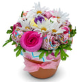 Deluxe Baby Blossom Baby Girl Gift Set - Keepsake Flower Pot