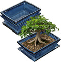 Large Ceramic Bonsai Pots Set of 2 - 10in Blue Glazed Planters