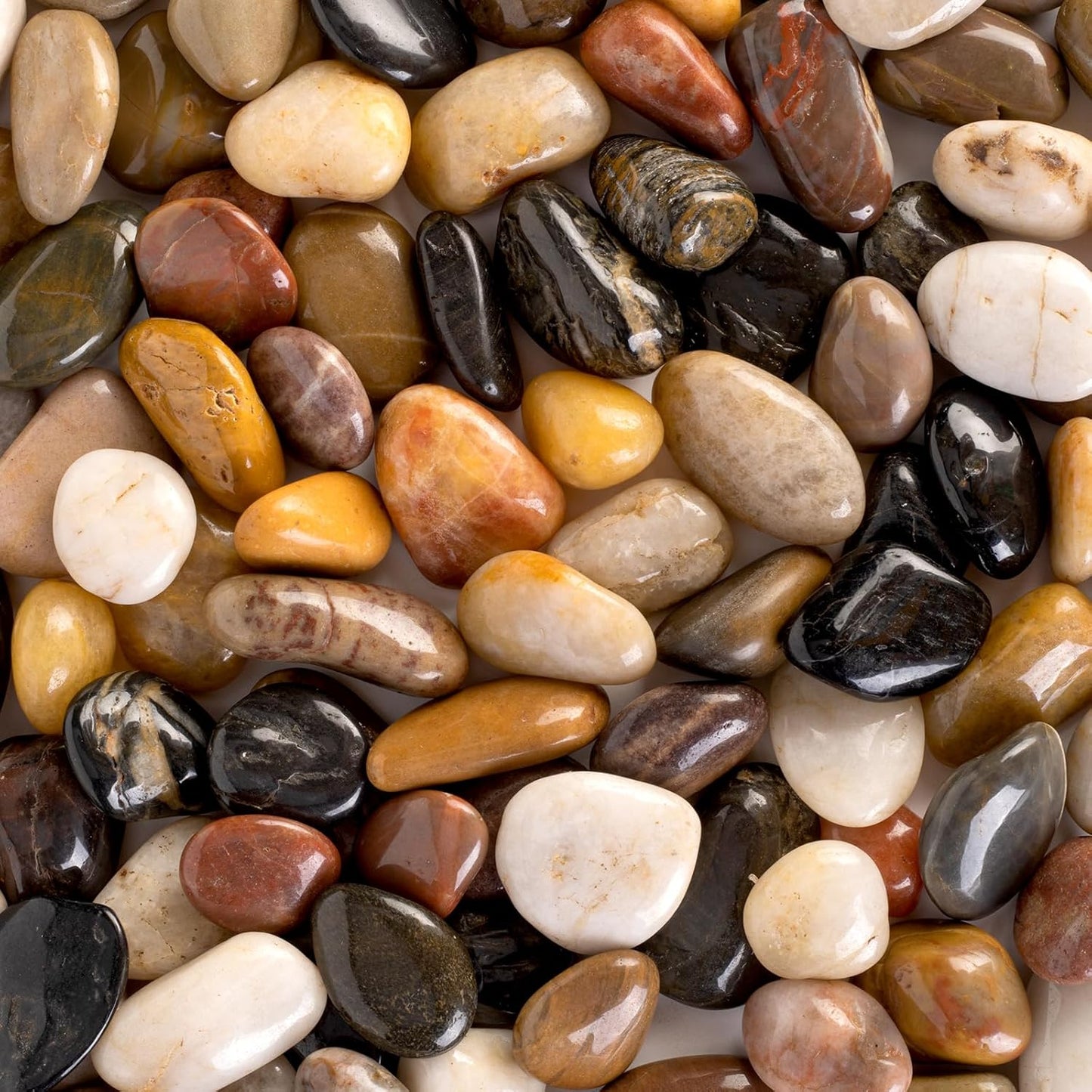 20 lbs River Stones and Pebbles for Gardening and Aquariums