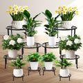 Plant Stand 10Pack Metal Plant Stands for Indoor Outdoor