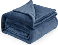 Bedsure GentleSoft Fleece Blanket Queen Size Mineral Blue - Cozy