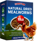 Dried Mealworms 100% Non-GMO 10 Lb - High Protein Treats for Birds