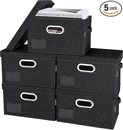 BALEINE Storage Bins with Lids for Home and Office Organization