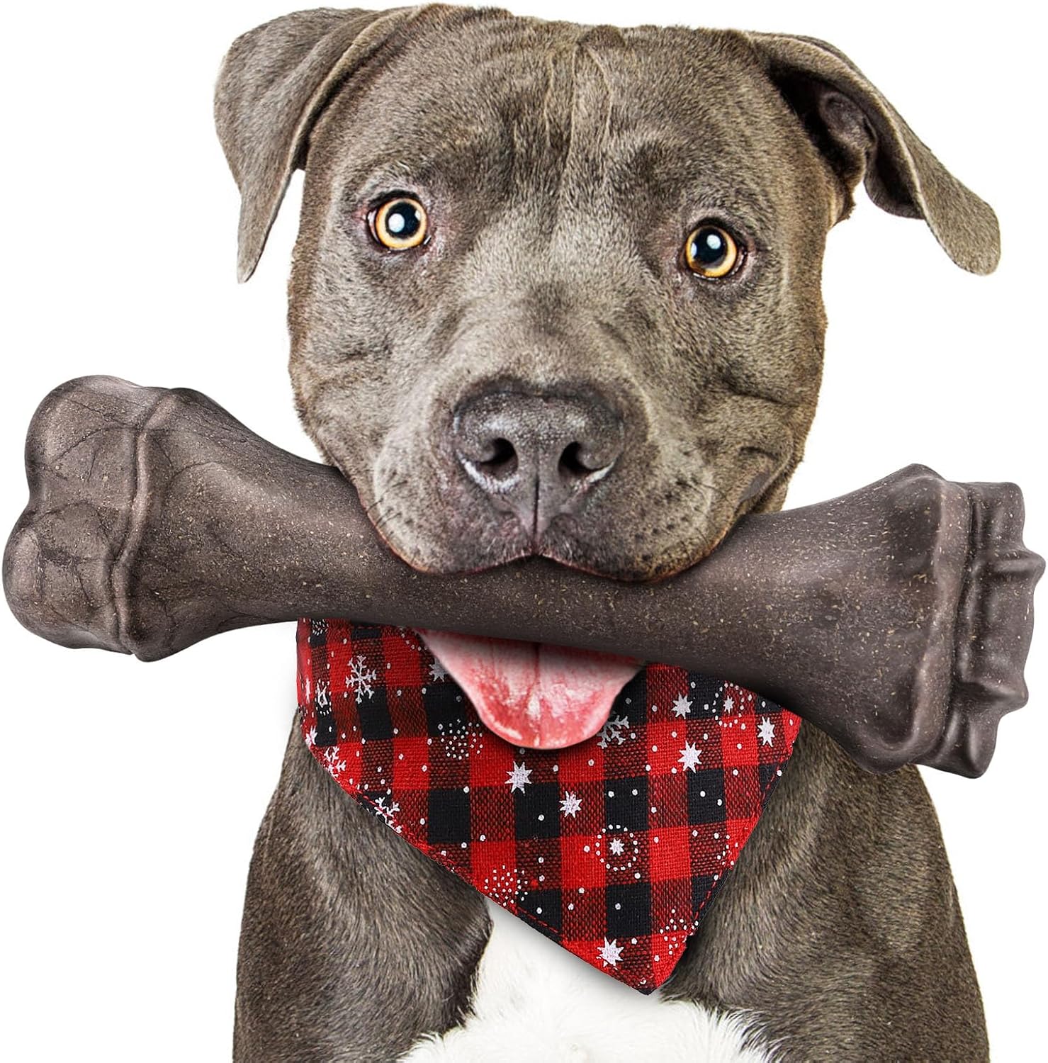 Durable Dog Bones for Aggressive Chewers by PUPTILY