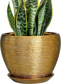 Ceramic Plant Pot 8 Inch - Modern Gold Planter with Drainage