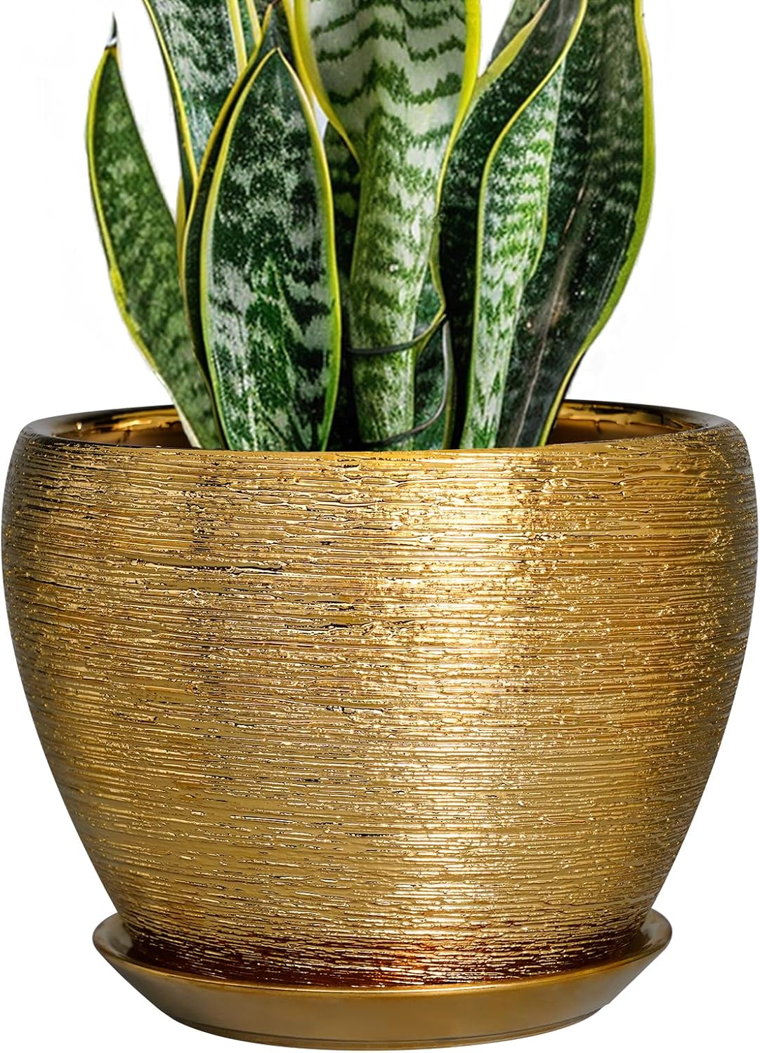 Ceramic Plant Pot 8 Inch with Drainage Hole for Indoor Plants