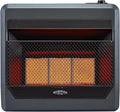 Bluegrass Living Propane Heater - 30,000 BTU Infrared Warmth