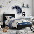 Twin Size Bed Frame Velvet Upholstered Platform Bed - Elegant, Sturdy