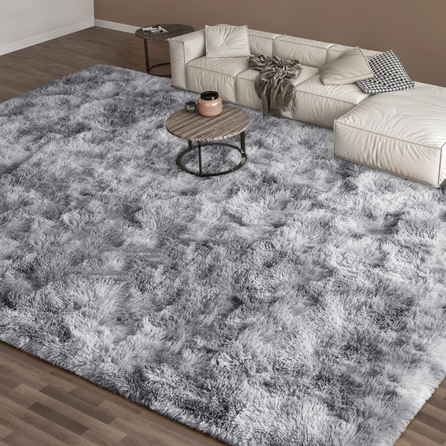 EVOIONOS 6x9 Fluffy Shag Area Rug for Living Room and Bedroom