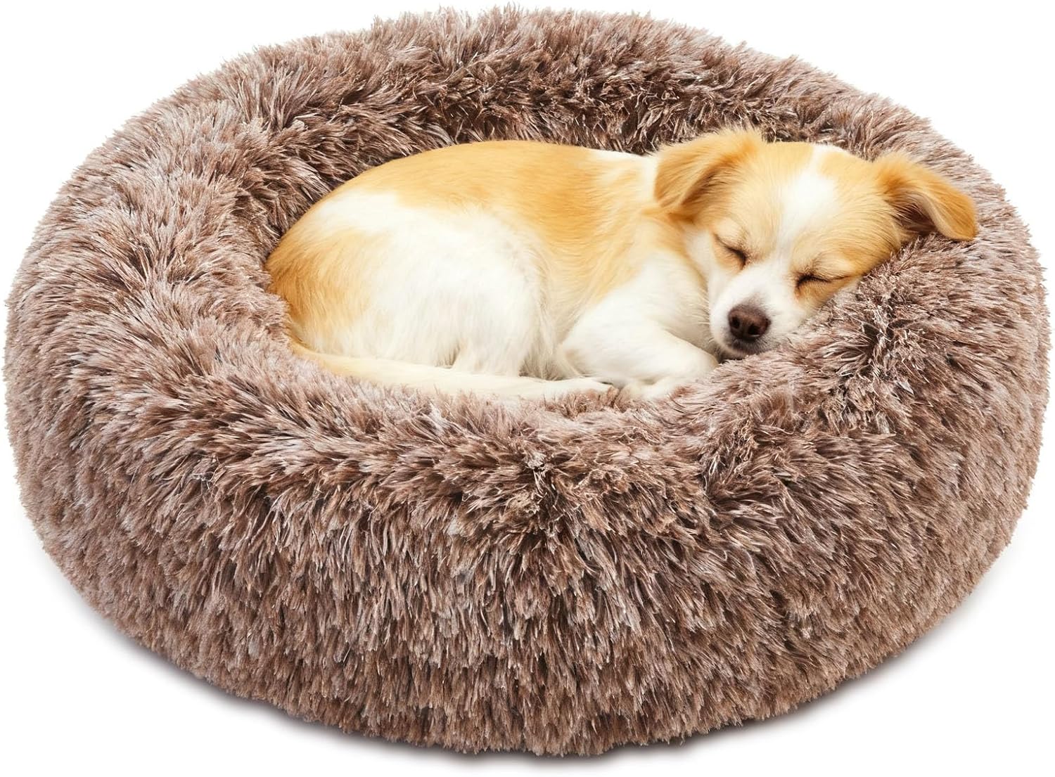 Calming Dog Bed for Small Dogs - Plush Anti-Anxiety Cuddler