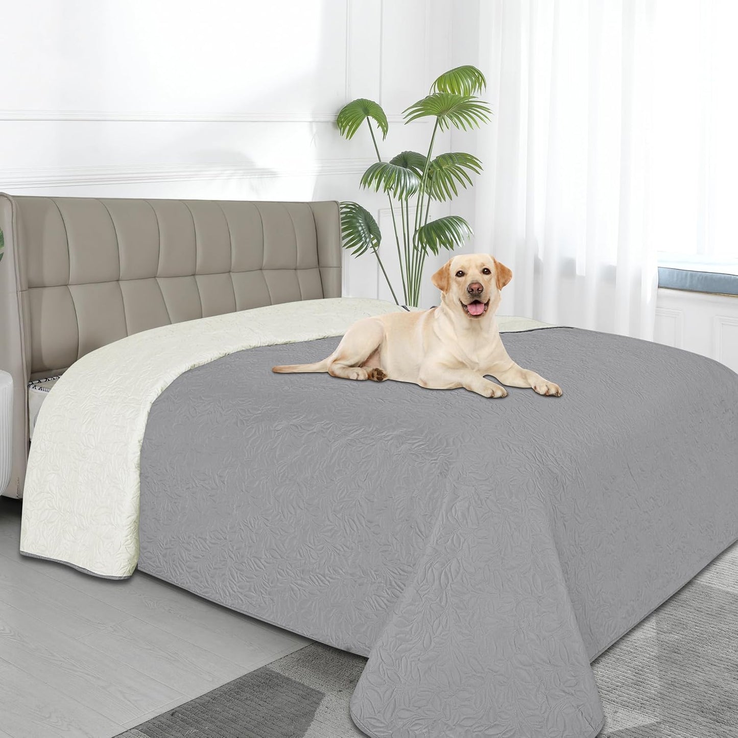 Easy-Going Waterproof Dog Bed Cover for Pets and Furniture