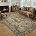 Ciicool Area Rug 5x7ft Washable Low-Pile Vintage Rug - Easy Care