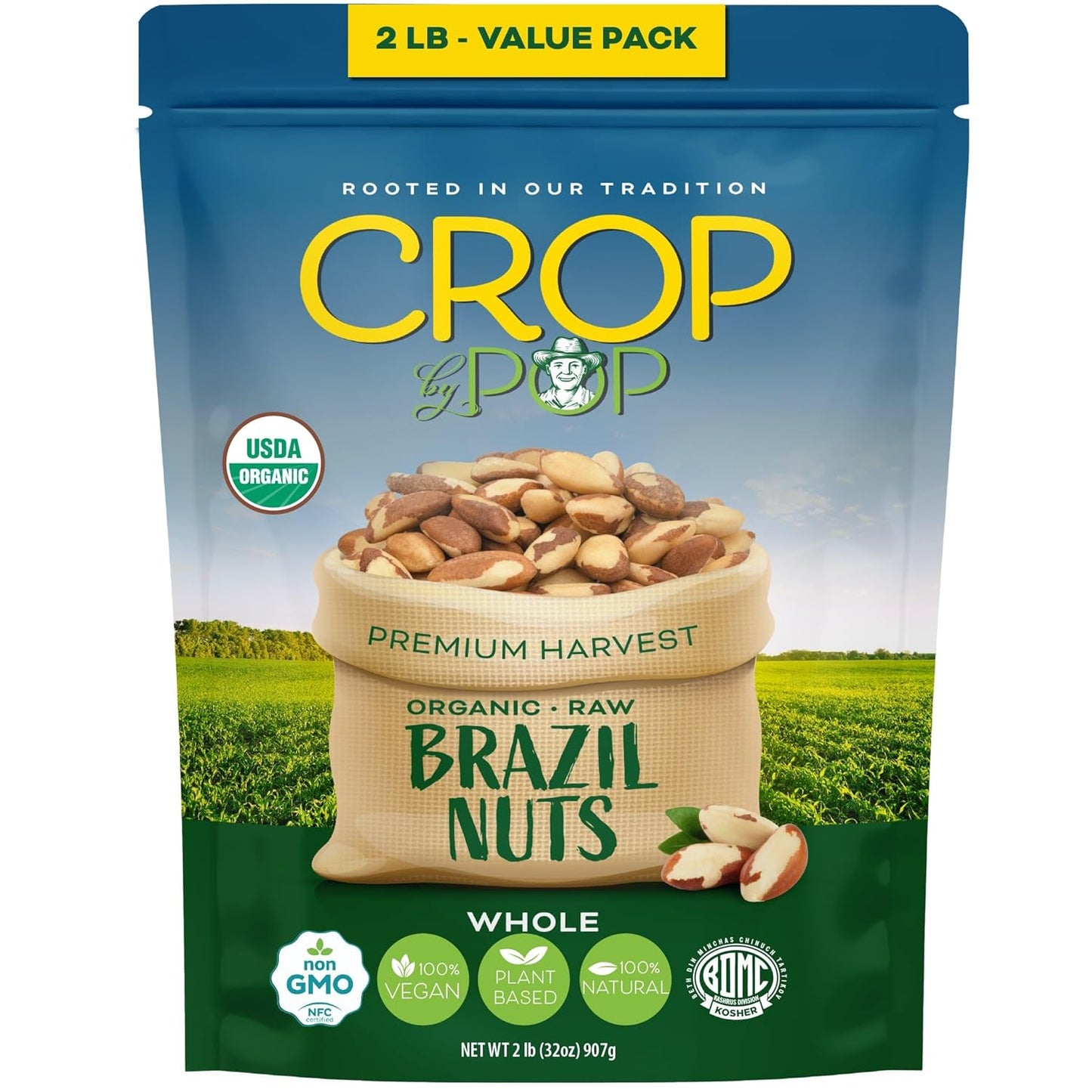 Organic Raw Brazil Nuts - Nutrient-Dense & Sustainably Sourced