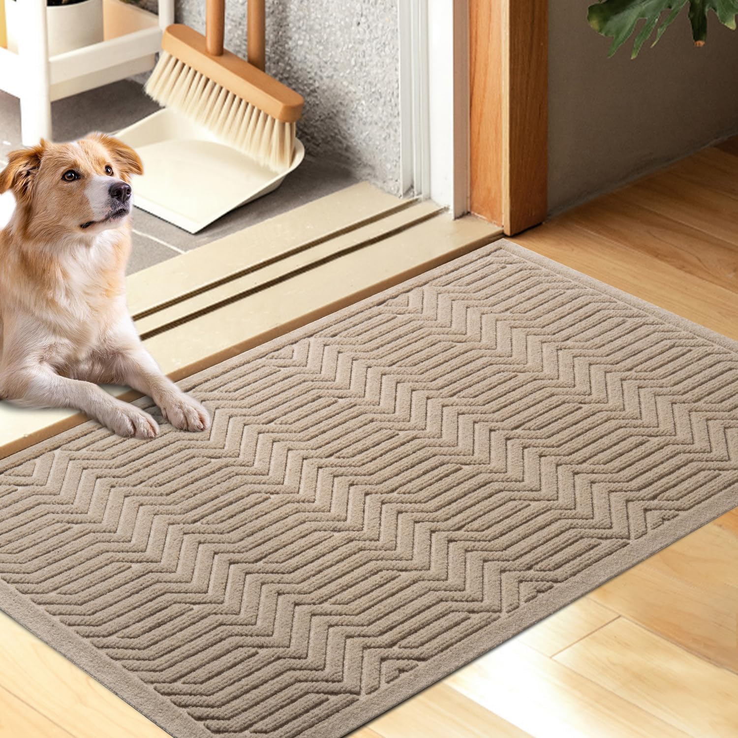 Absorbent Muddy Dirt Resist Welcome Door Mat for Entryway