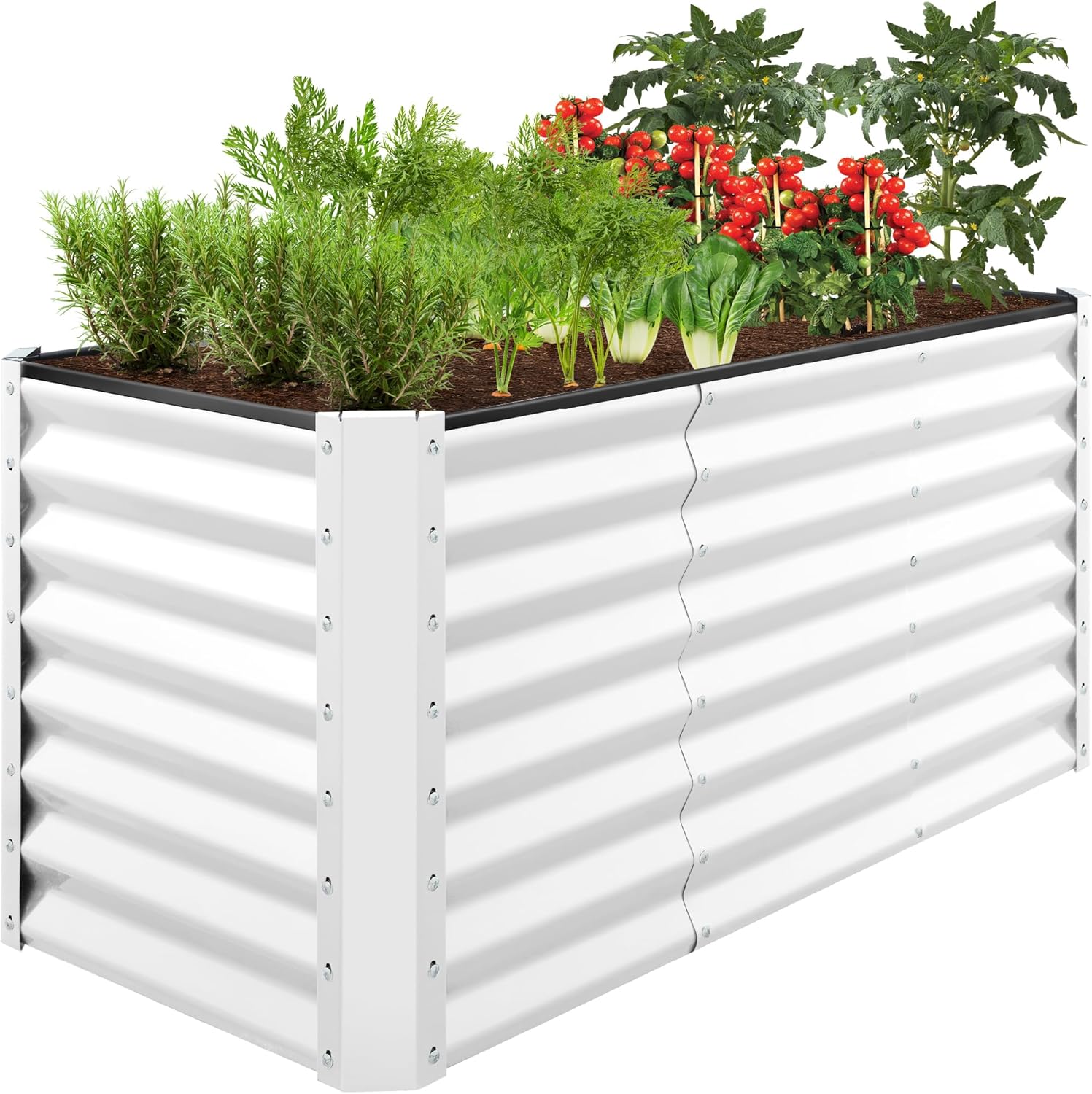 Outdoor Metal Raised Garden Bed for Vegetables and Herbs