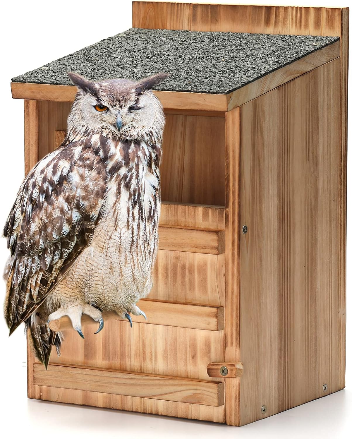 Owl House Wooden Building Kit for Adults - Premium Bird Box