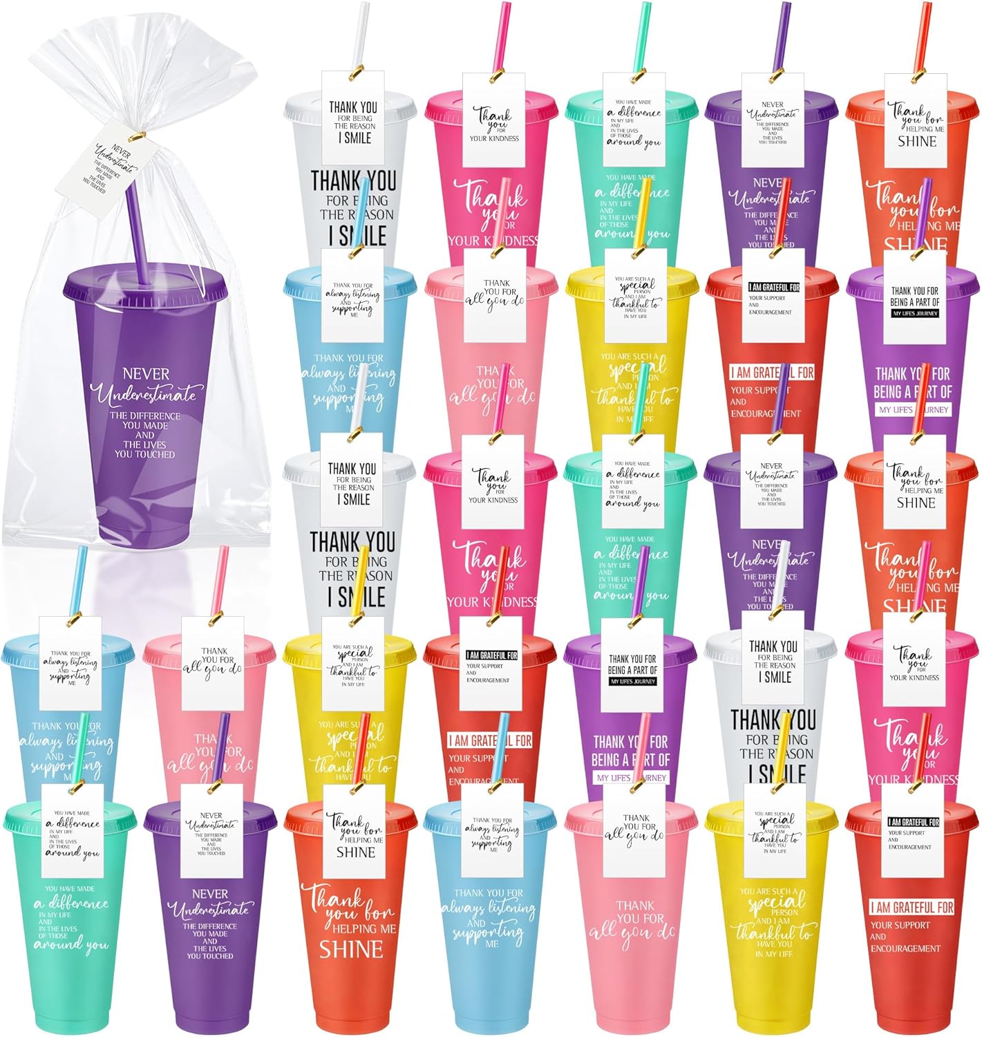 Skylety 30 Sets Christmas Employee Appreciation Gifts Bulk Tumblers