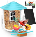 birdsnap Solar HD Bird Feeder with AI | Wild Birdwatching