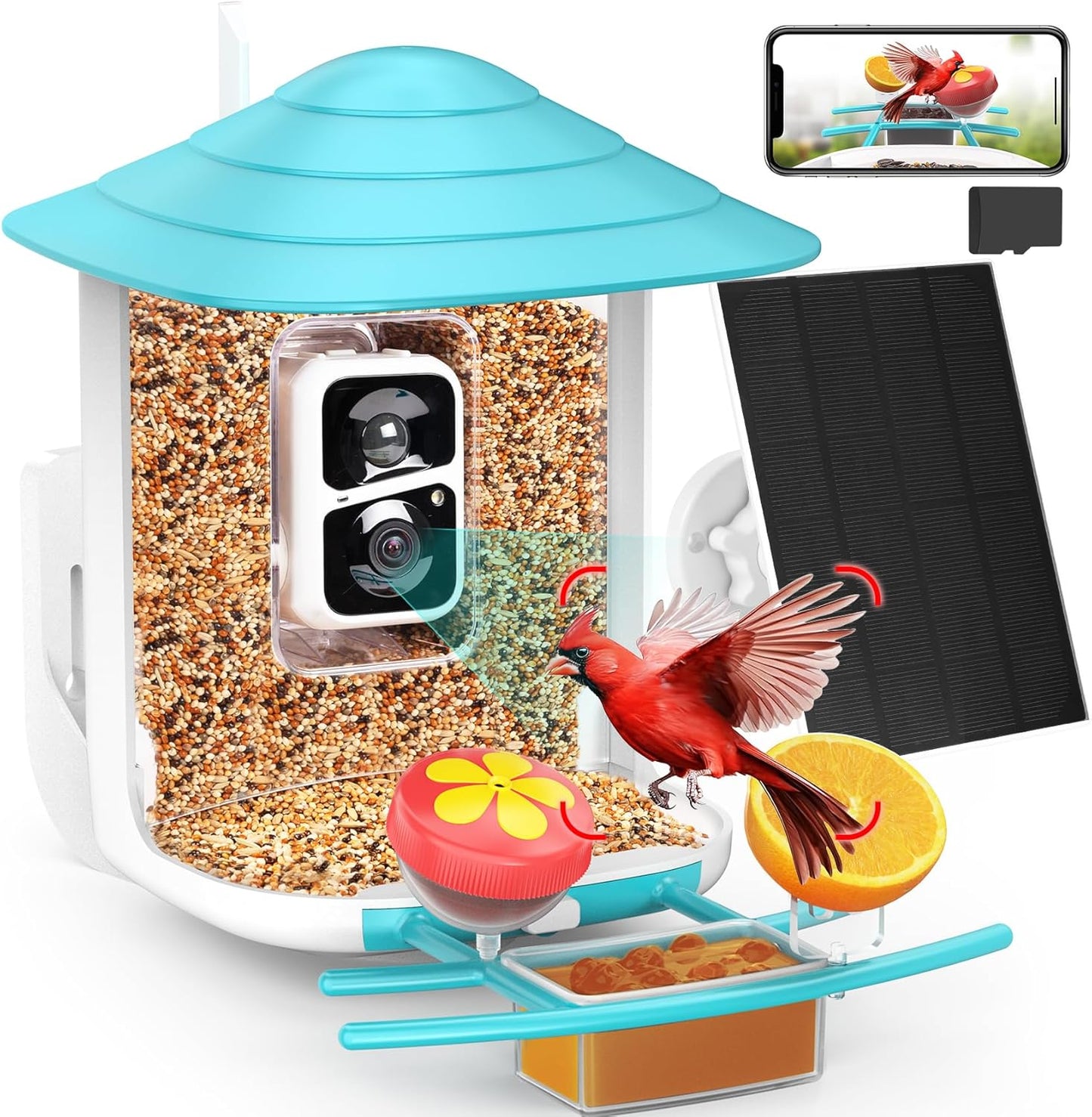 birdsnap Solar HD Bird Feeder with AI | Wild Birdwatching