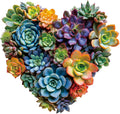 Puzzles for Adults 500 Pieces Heart Succulent Jigsaw Puzzles - Nature