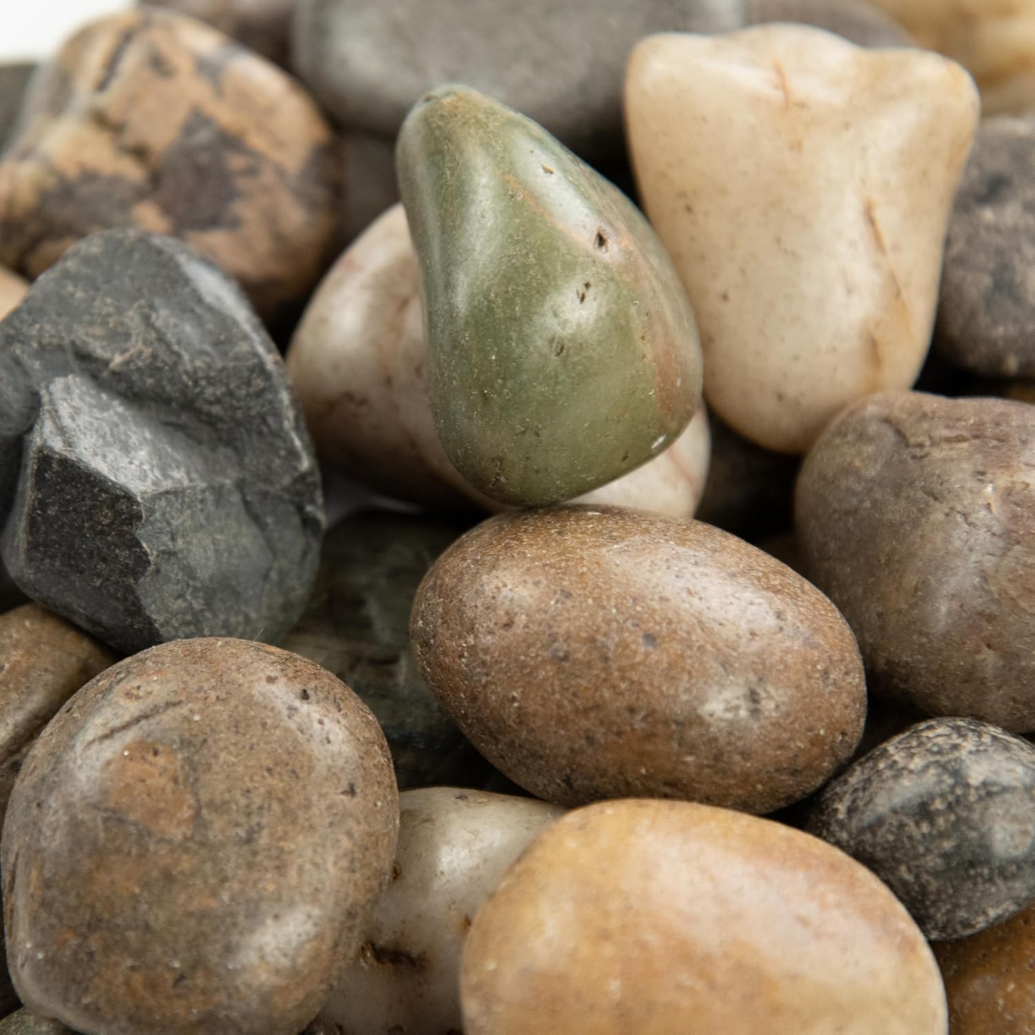 MSI Decorative Polished Mixed Pebbles for Unique Accents