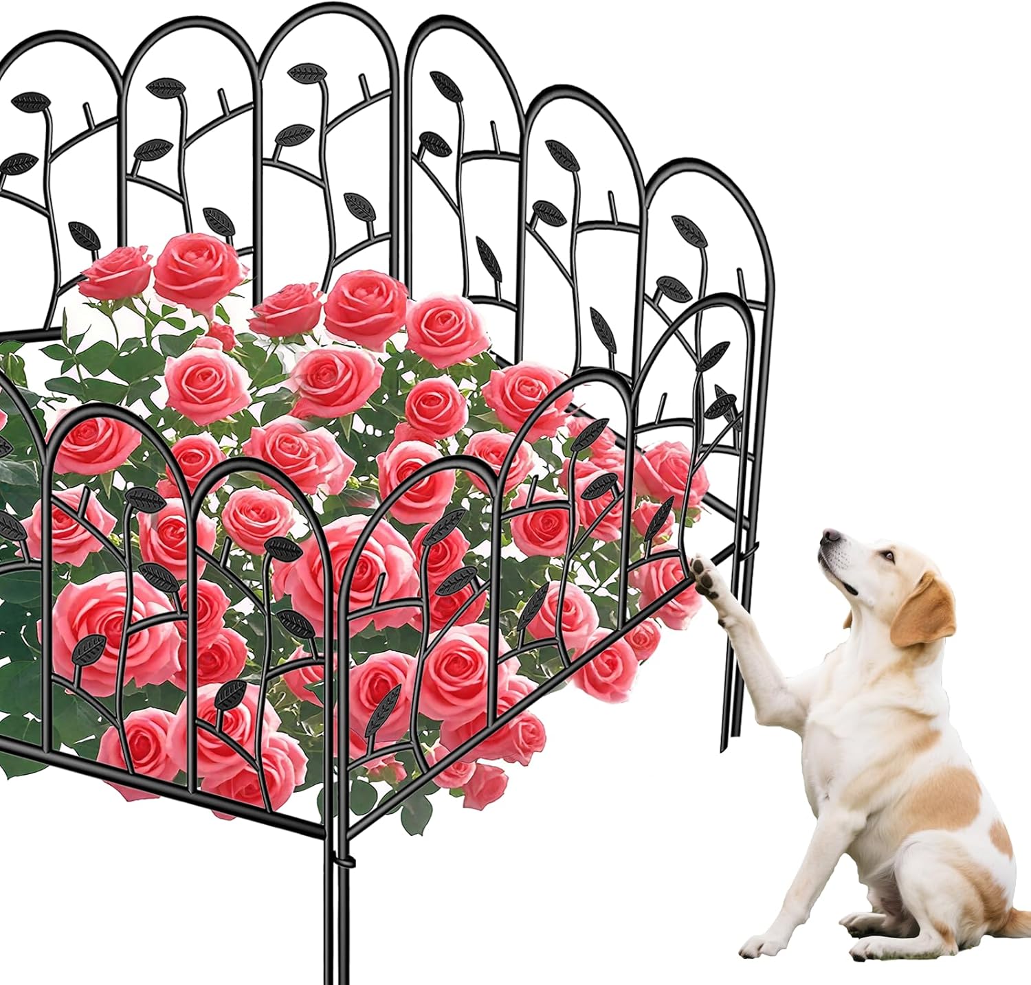 Decorative Garden Fences for Dogs - Rustproof Metal Panels