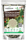 Evergreen Fertilizer All-Purpose Granular Plant Food - Slow-Release