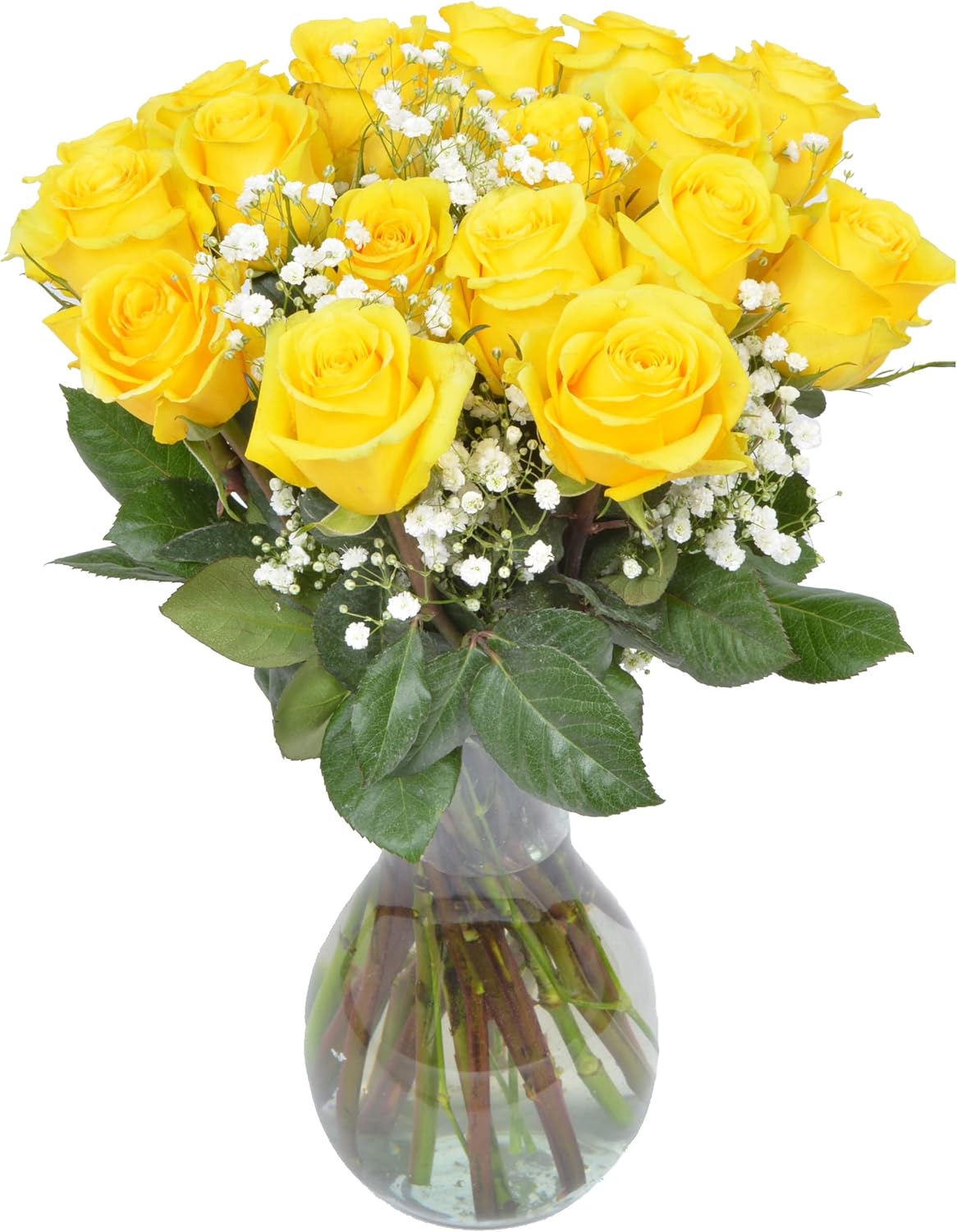 18 Yellow Roses and Baby's Breath in Elegant Glass Vase