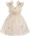 Toddler Girls Butterfly Tulle Dress Lavender Sparkle - Formal Birthday