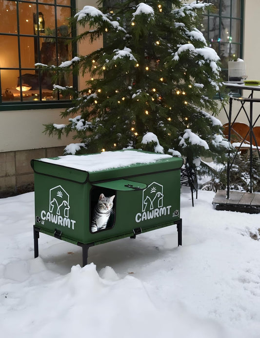 Protect Stray Cats with Heated Outdoor Shelter