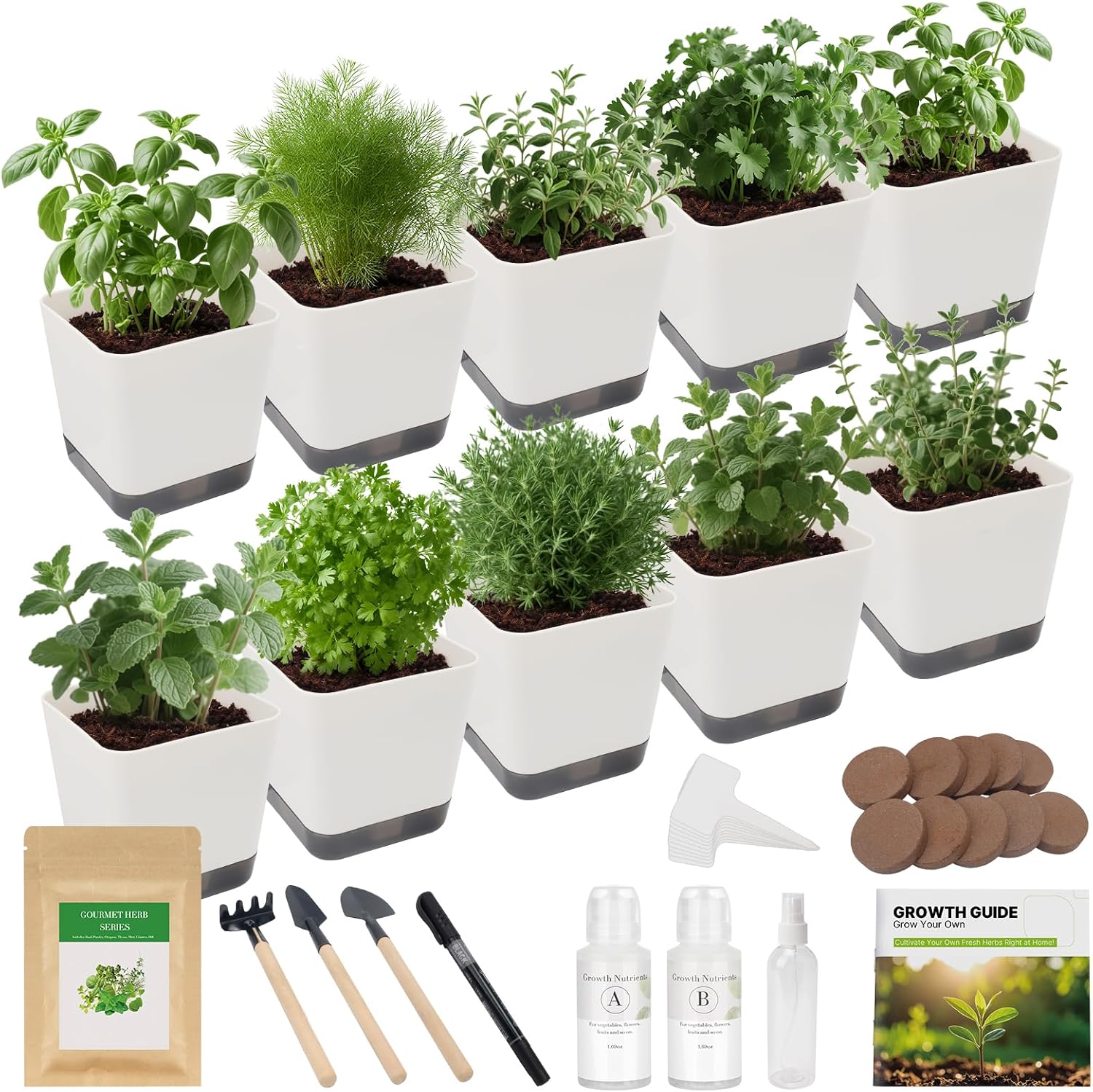 10-Set Indoor Herb Garden Starter Kit for Fresh Flavors