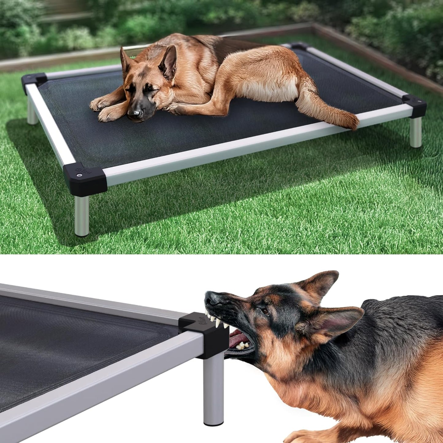 FXW TitanNest Chew-Proof Elevated Dog Bed for Large Dogs