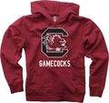 Organic Cotton Youth College Team Pullover Hoodie - Kids S-XL