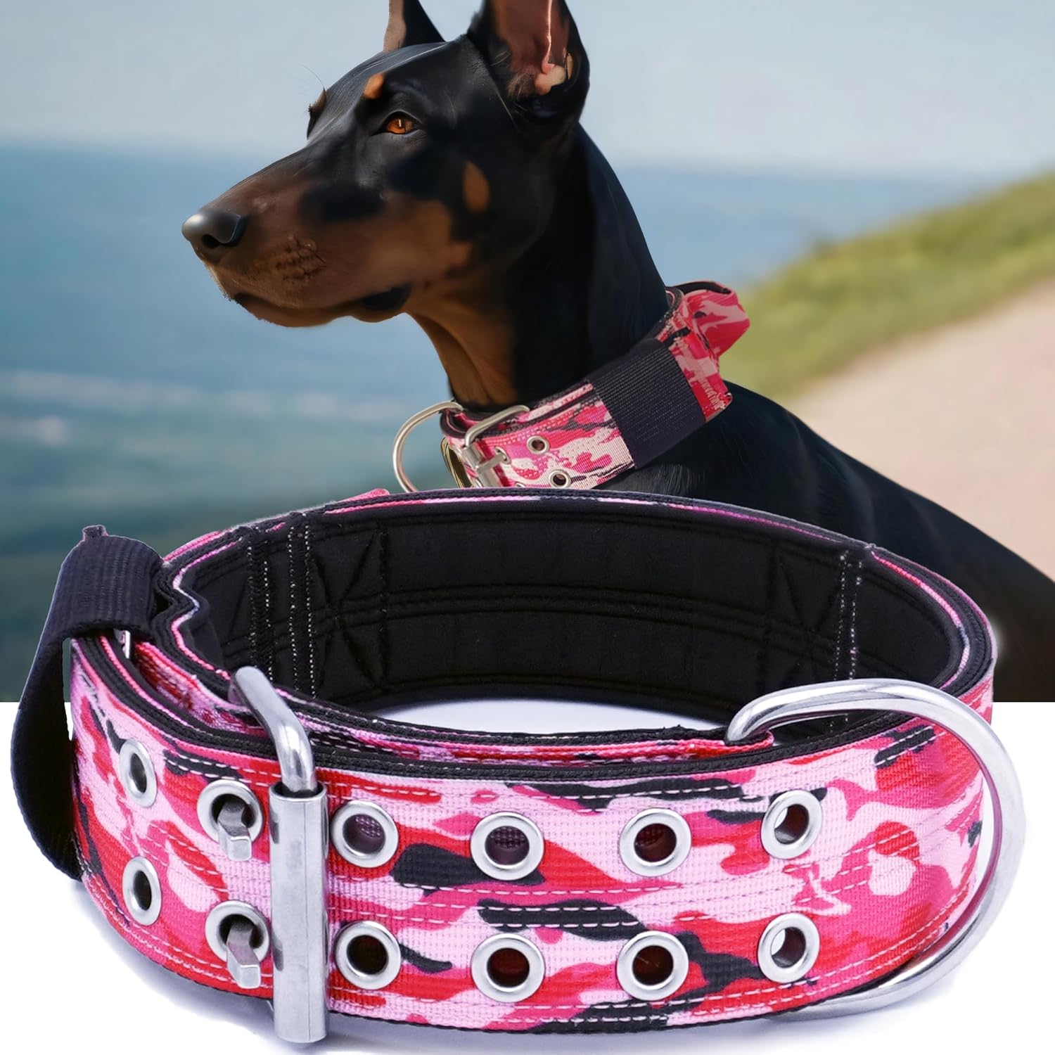 Dog Collar for Large Dogs - Tactical 2in Wide Heavy Duty Collar
