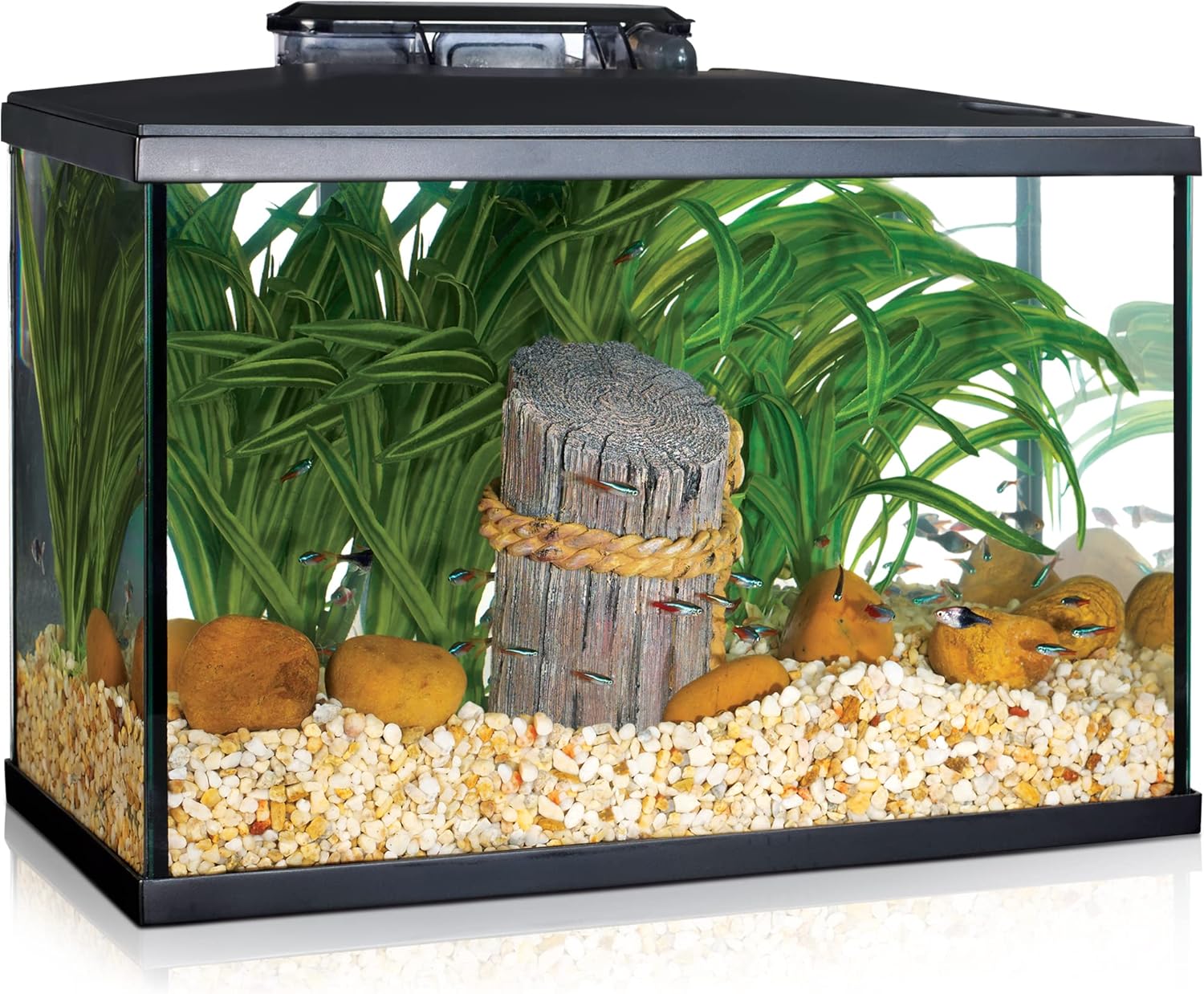 Marina 5 Gallon LED Aquarium Kit for Beginner Aquarists