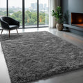 Zentavio Area Rugs for Living Room - Soft Shag 5x8 Carpet