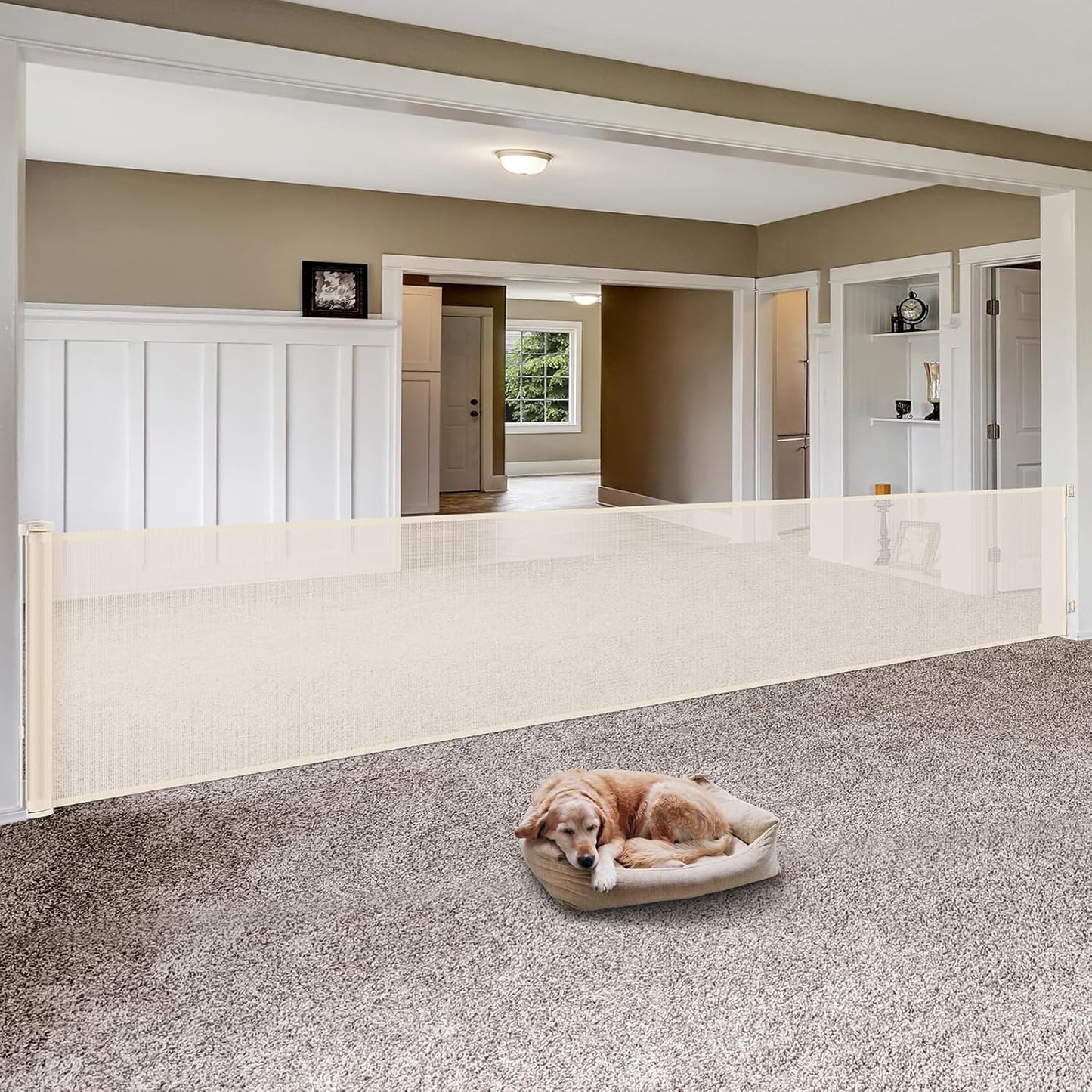 145 Inch Retractable Baby Gate for Large Openings and Pets