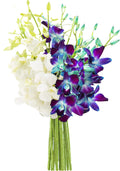 Starry Night in the Tropics Bouquet of Blue and White Orchids - Fresh