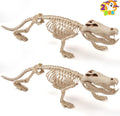 28in Skeleton Crocodiles for Spooky Halloween Decor and Parties