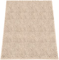 Absorbent Dog Door Mat for Muddy Paws, 60in x 48in Chenille