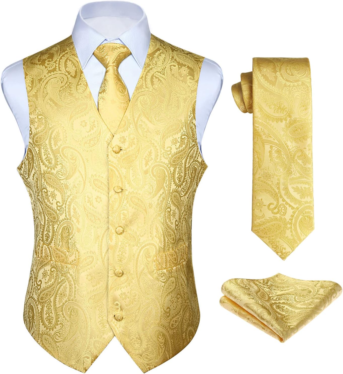 HISDERN Vest and Tie Sets for Men with Paisley Floral Design