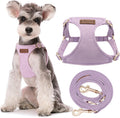 No Pull Small Dog Harness Light Purple S - Ultra-Light Comfort