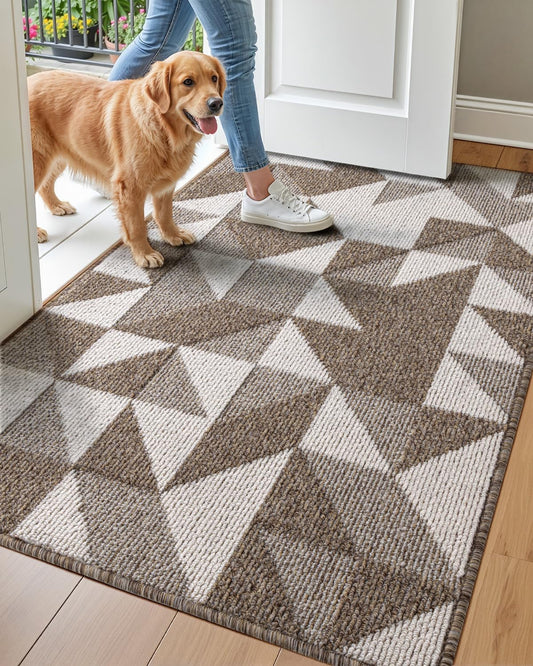 DEXI Non Slip Washable Low-Profile Entry Doormat for Home